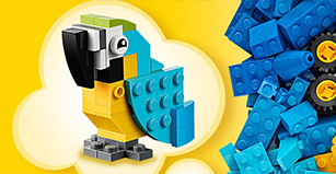 Mobile Devices & Wearables